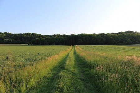 Se balader au Sentier de Barvy photo