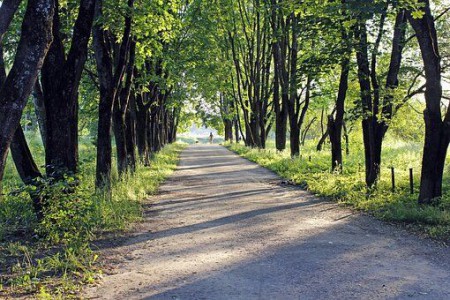 Se promener au Rocher des Pendus photo