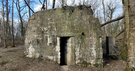 Sentier Des Bunkers / Groupe De 5 Bunkers photo