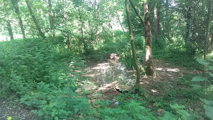 Sentier rivière photo