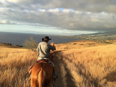 Shai Ena Cheval Réunion photo