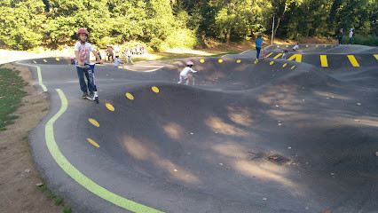 skate park photo