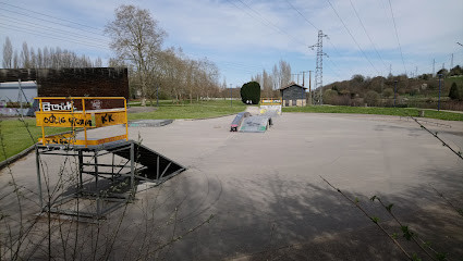 Skate Park Bords de Vienne photo