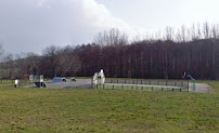 Skatepark	 photo