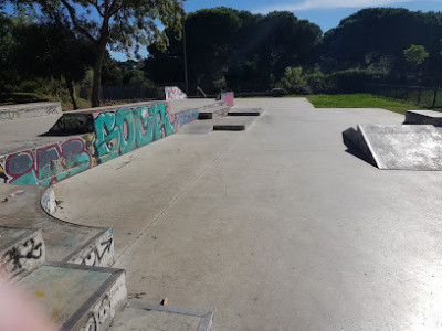 SkatePark photo