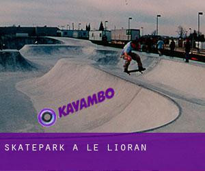 Skatepark à Le Lioran photo