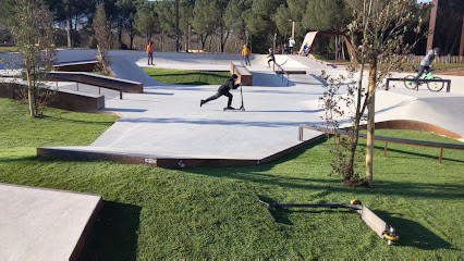 Skatepark d’Albi - Pratgraussal photo