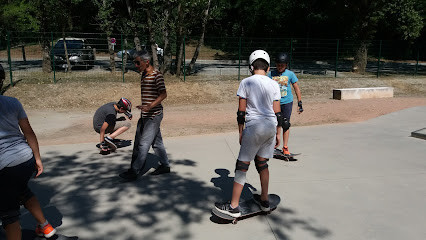 Skatepark Dardilly photo