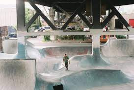 Skatepark de la Daguenière photo