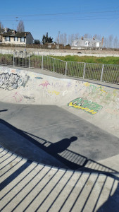 Skatepark De Poissy photo