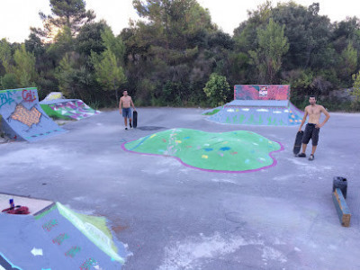 Skatepark DIY de Beaulieu photo
