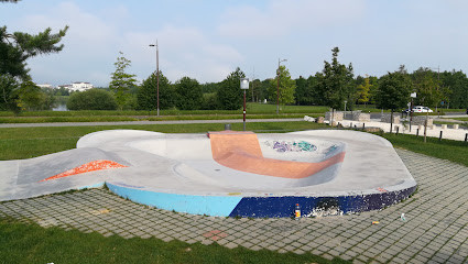 Skatepark La Vipère photo