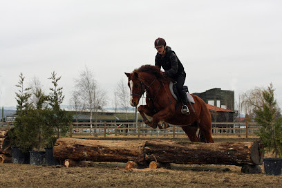 S.L.E.M. Club hippique Cheval-Poney photo