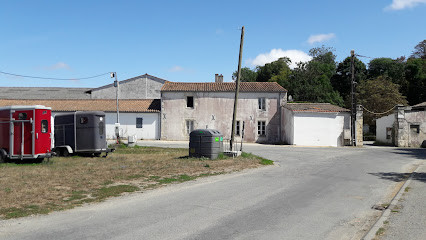 Société Hippique Aunis La Rochelle photo