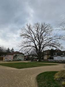 Square des Anciens Combattants photo