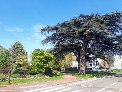 Square des Cèdres photo