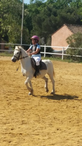 Stage equitation montpellier photo