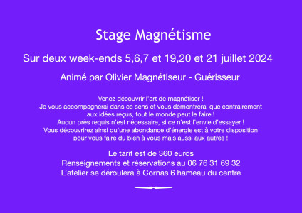 Stage Magnétisme photo