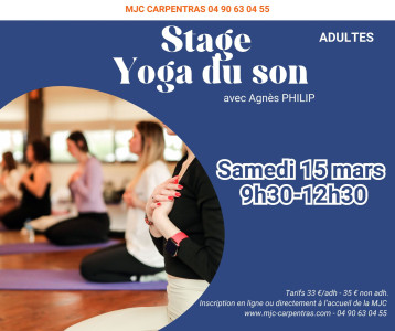 Stage Yoga du son photo