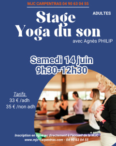 Stage Yoga du son photo