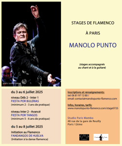 stages de flamenco / Paris / juillet 2025 photo