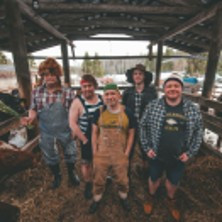 Steve 'n' Seagulls - Tournée photo