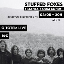 Stuffed Foxes + Quai Bondy + Manta photo