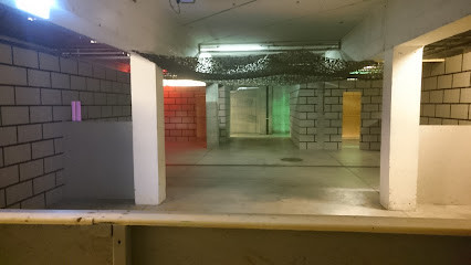SWISS LASER SQUAD photo