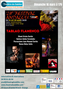 Tablao Flamenco - 24ème Festival Andalou photo