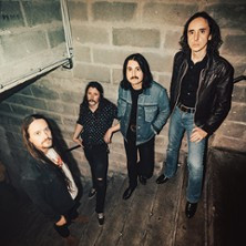 The Datsuns photo