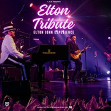The EltonTribute - Elton John Experience photo