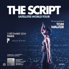 The Script photo