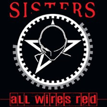 The Sisters of Mercy photo