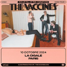 The Vaccines photo