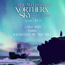 The Wellermen photo
