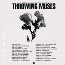 Throwing Muses photo