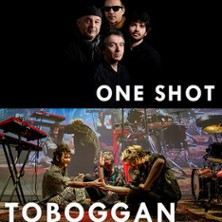 Toboggan - One Shot photo