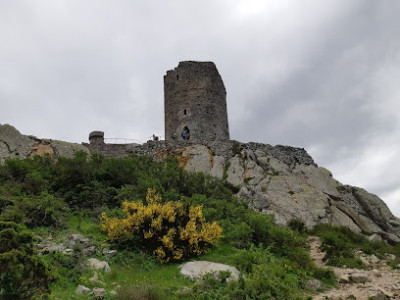 Tower Massane photo