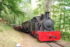 Train Forestier d'Abreschviller en Moselle photo