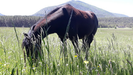 Val Ranch photo