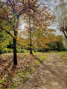 Vallon des Roquettes photo