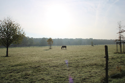 Varennes Equitation photo