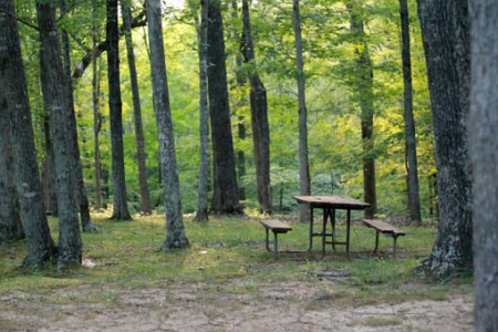 Venez faire une balade : Île Renote photo