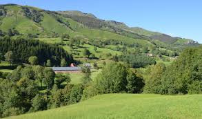 Venez faire une balade : Vallée de la Jordanne photo