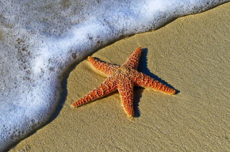 Venez prendre le soleil sur la Plage de Kerhornou photo
