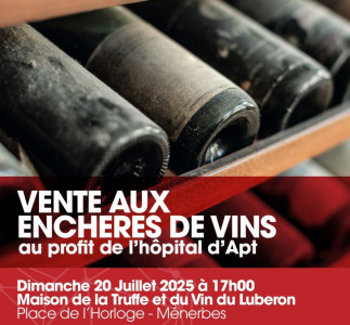 Vente aux enchères de vins photo