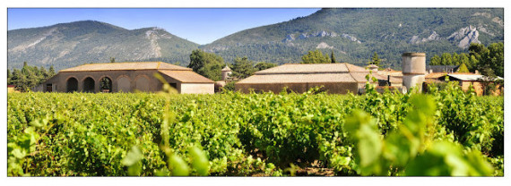 Vignobles Bonfils - Château Millegrand photo