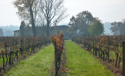Vin de Bordeaux : Château CRESUS photo