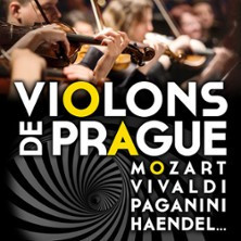 Violons de Prague photo