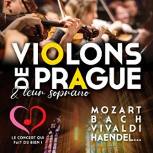 Violons de Prague photo